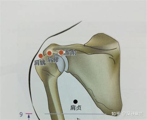 肩ㄩˊ穴|肩髃穴的准确位置图和作用